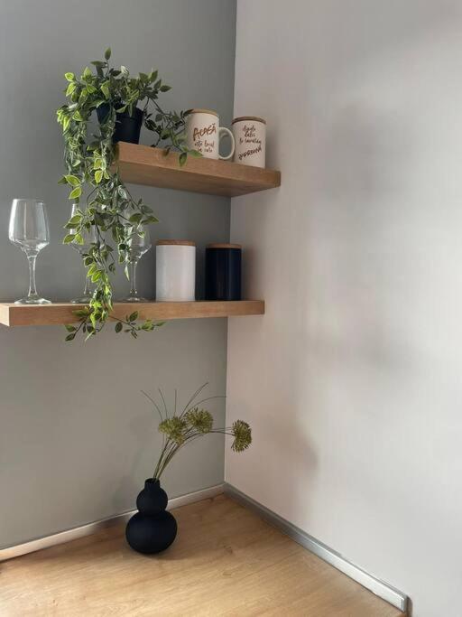 Minimalist Studio 5 บราชอฟ ภายนอก รูปภาพ